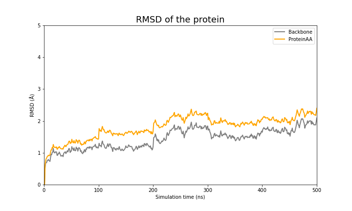 RMSD of the protein