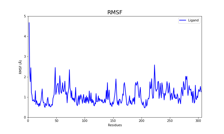 RMSF of the protein